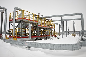 https://www.rosneft.ru/upload/site1/document_news/pic_13022019-1-350x1000.jpg